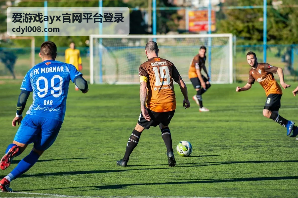 爱游戏ayx官网平台登录异常自查封面